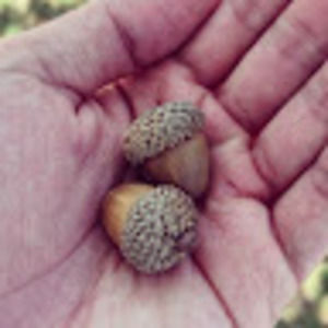 Meet your Posher, Thuyet